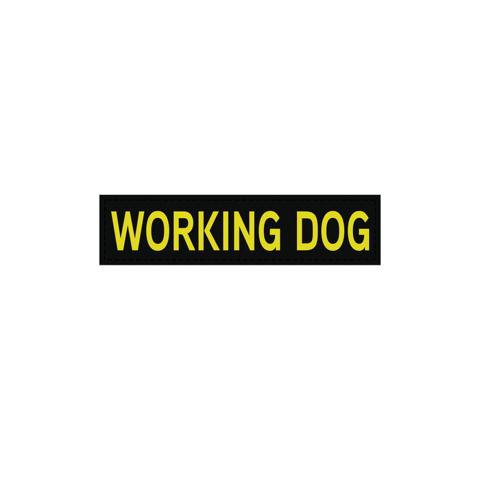 WORKING DOG