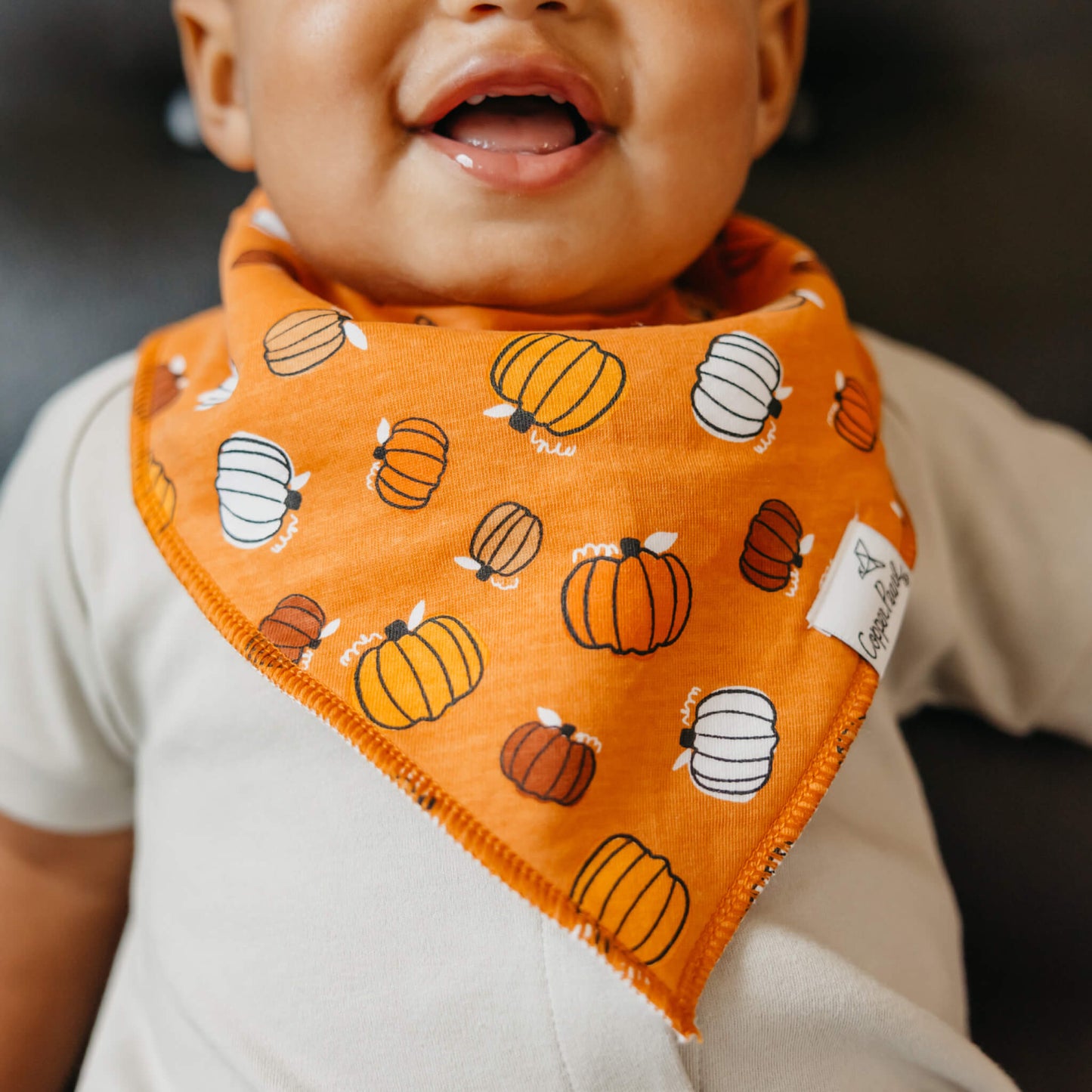 4 Pack Baby Bandana Bibs - Bones