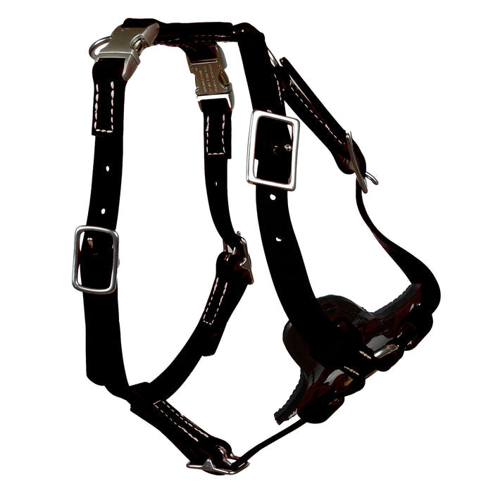Small (20" - 25" Girth) / Black Beta