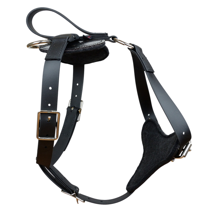 Padded All Weather Quick Release Harness