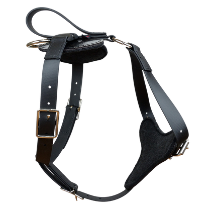 Padded All Weather Quick Release Harness