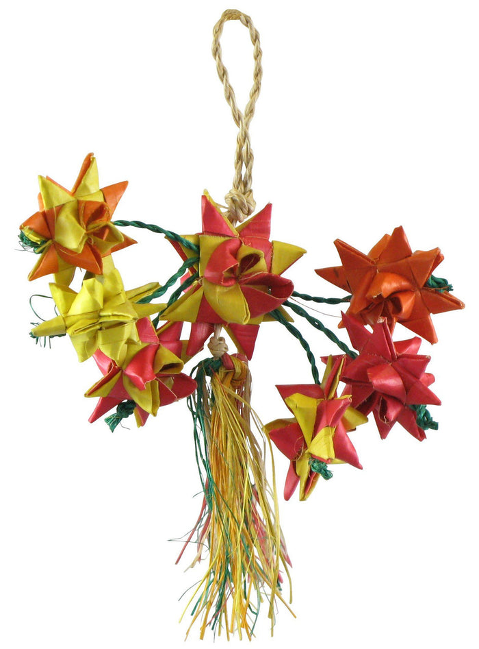 Star Cluster Mini
